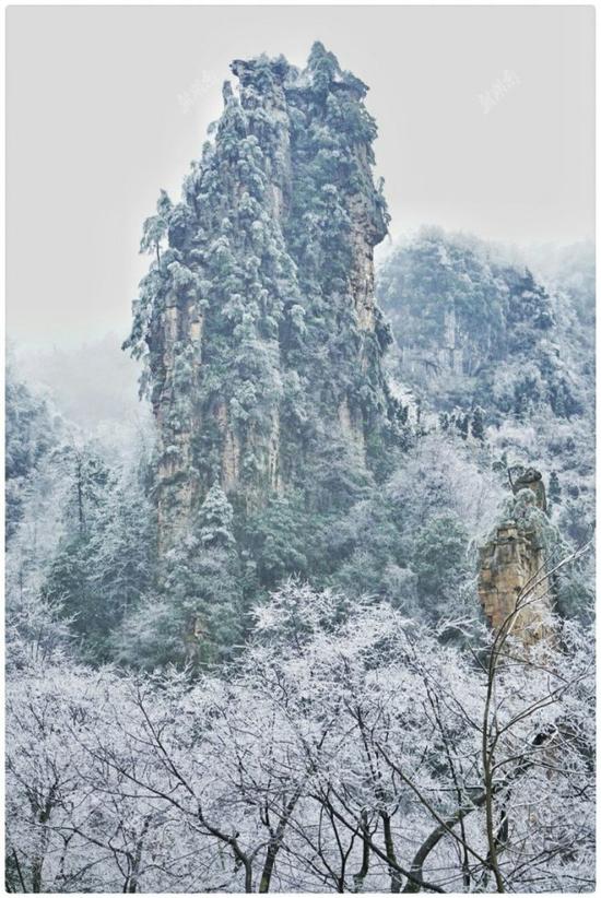 2月22日，受降温降雨天气影响，张家界黄石寨景区出现云海、冰挂景观。陈文升 摄