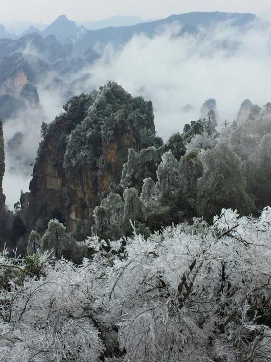 2月22日，受寒潮天气影响，张家界武陵源核心景区出现壮丽的雾凇云海美景。 彭斌 摄