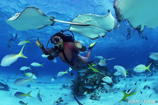 景区兴起旅游+网红+直播 找主播推网红营销