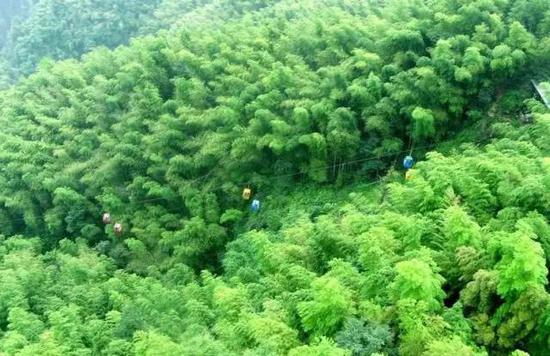 河南竟通关7片小蜀南!竹林翠海、空气清新!私藏玩游戏的呆呆图片