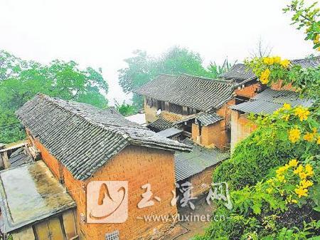 二掌村的村貌
