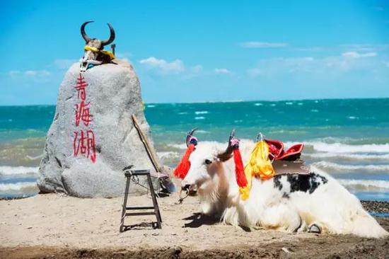 比九寨沟人少,比青海湖便宜,这才是长春今夏最