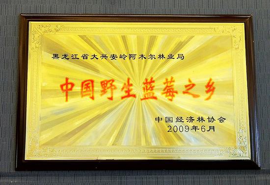 走进大兴安岭阿木尔,一个有着传奇故事的地方