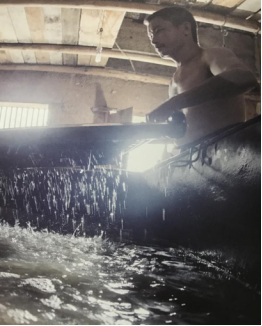 华谊兄弟实景娱乐文谊复兴 6城市民争推各地