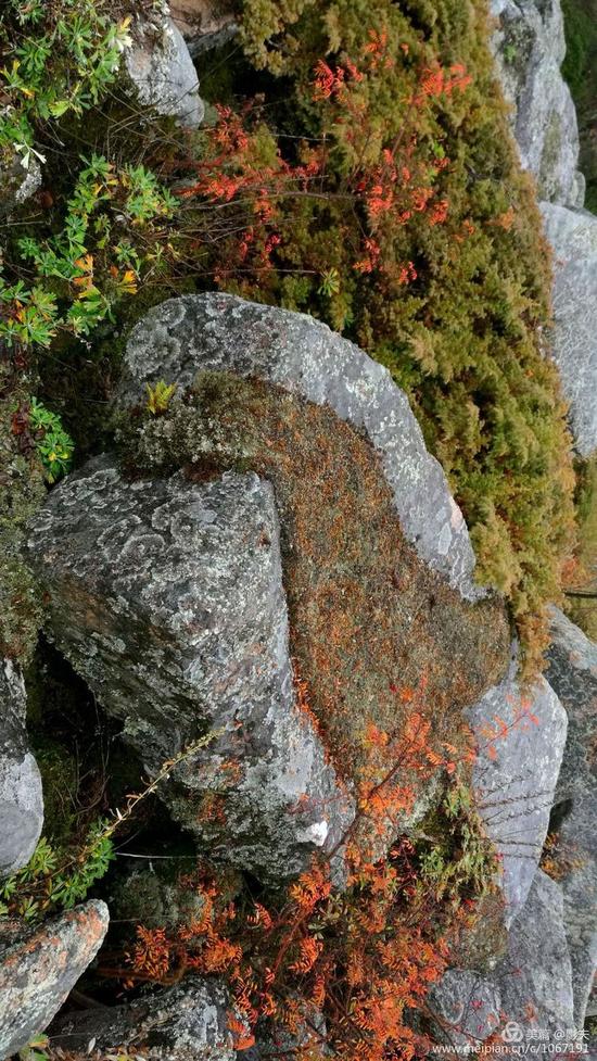 大箐山