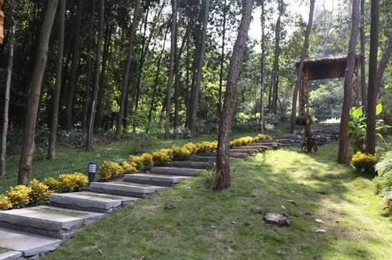 山林美景 南山这家民宿为你诠释真正的世外桃