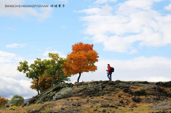 镜泊湖,火山熔岩上那片寂静怒放的秋艳