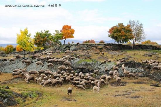 镜泊湖,火山熔岩上那片寂静怒放的秋艳