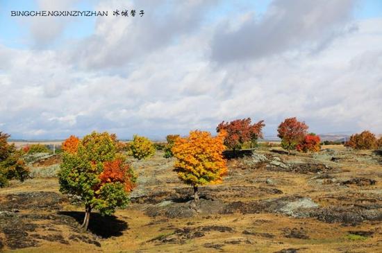 镜泊湖,火山熔岩上那片寂静怒放的秋艳