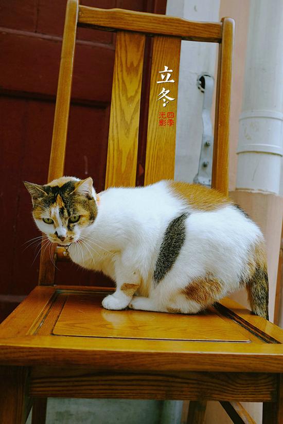 立冬丨上海老巷 <wbr>爱上浓浓生活味道 <wbr>45P