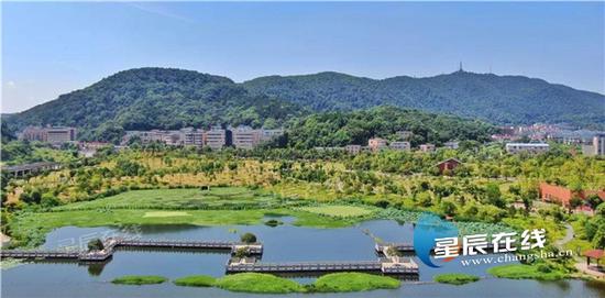 美丽的西湖公园,成为长沙市民周末的好去处
