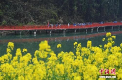 资料图：油菜花盛开的浙江省衢州市开化县钱江源乡村美景。中新社记者 毛建军 摄