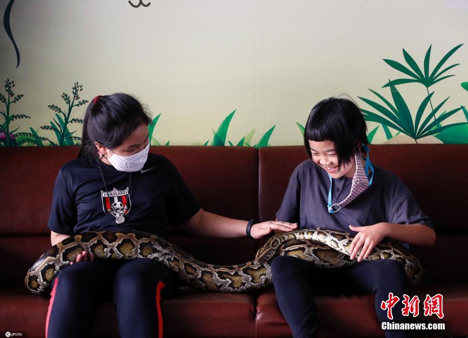 泰国曼谷现重口味“蛇咖啡馆” 你敢去触摸真蛇吗？