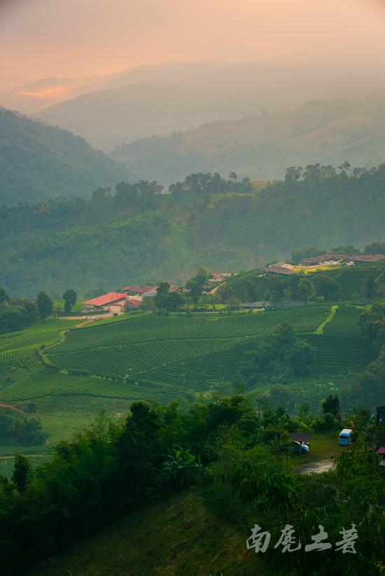 泰国北部有一个“云南村”,风景堪比元阳梯田