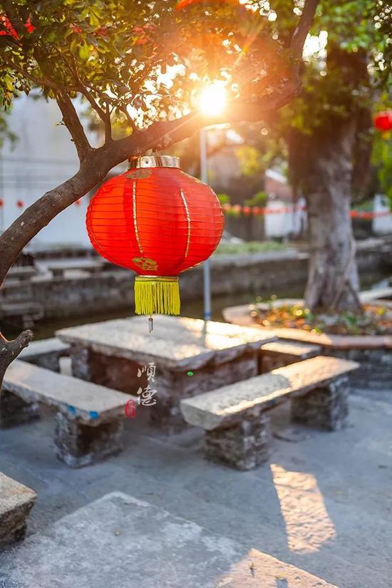 这个“岭南周庄”竟号称中国最美村镇?4个关键词告诉你到底有多美