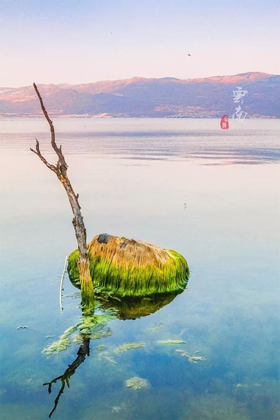 在《心花路放》取景地,体验白族生活,欣赏绝美湿地,寻找诗和远方