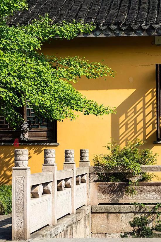 江南<a href='http://travel.sina.com.cn/huaian_diyishan_13623-lvyou/?from=b-keyword' target='_blank'>第一山</a>下的千年古刹,竟有一只大名鼎鼎的网红喵星人