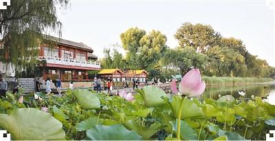 人文旅游大放光彩