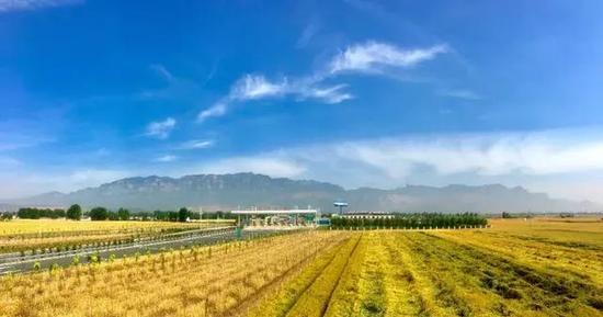 惊艳全国!河南这条高速公路竟然能看见云海-壹河南1hn.org