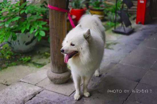 一分门票不花,游遍<a href='http://travel.sina.com.cn/hangzhou-lvyou/?from=b-keyword' target='_blank'><em>杭州</em></a>最不能错过的文艺复古拍照圣地
