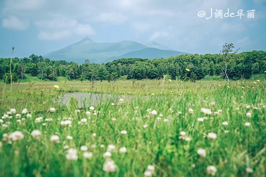 【日本】从函馆到仙台,追寻日本夏日的绿野仙踪