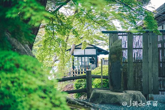 【日本】从函馆到仙台,追寻日本夏日的绿野仙踪