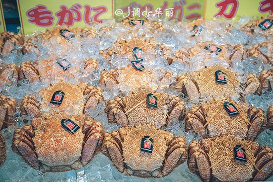 【日本】从函馆到仙台,追寻日本夏日的绿野仙踪