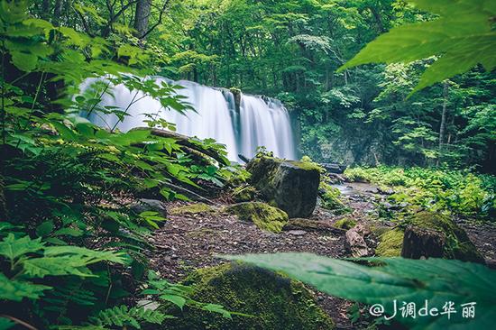 【日本】从函馆到仙台,追寻日本夏日的绿野仙踪