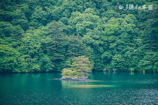 【日本】从函馆到仙台,追寻日本夏日的绿野仙踪