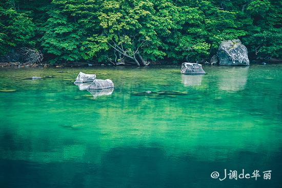 【日本】从函馆到仙台,追寻日本夏日的绿野仙踪