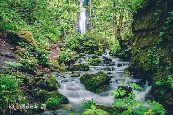 【日本】从函馆到仙台,追寻日本夏日的绿野仙踪