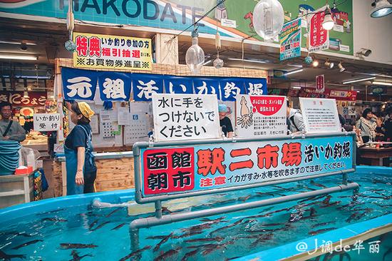 【日本】从函馆到仙台,追寻日本夏日的绿野仙踪