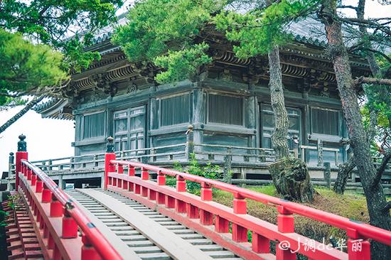 【日本】从函馆到仙台,追寻日本夏日的绿野仙踪