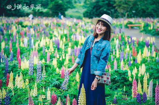 【日本】从函馆到仙台,追寻日本夏日的绿野仙踪