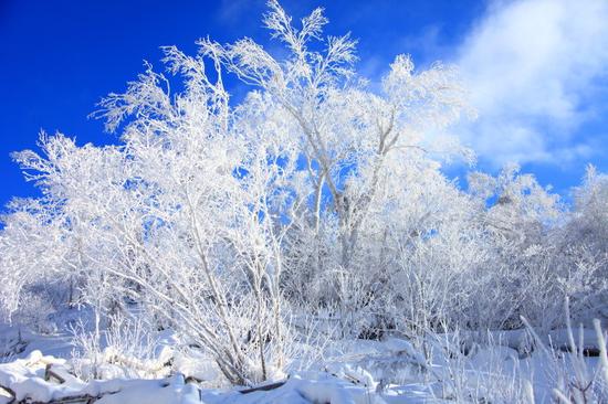 黑龙江雪乡路上的冰雪仙境