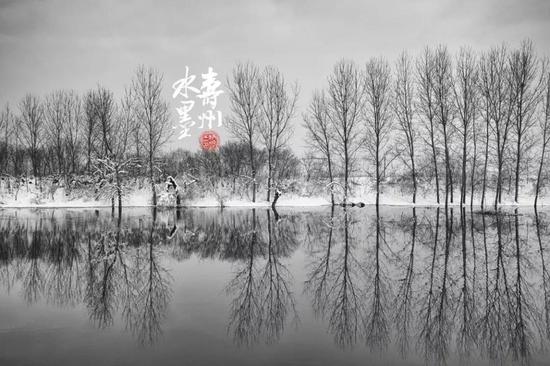摄影:王炳君