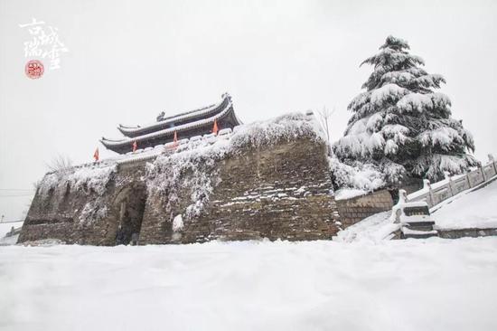 摄影:王炳君