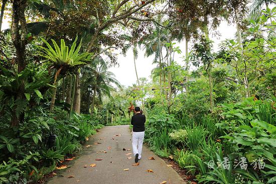 【新加坡】隐匿于百年植物园中的高颜值米其林