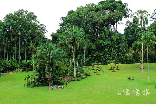 【<a href='http://travel.sina.com.cn/xinjiapo1-lvyou/?from=b-keyword' target='_blank'><em><em><em><em><em>新加坡</em></em></em></em></em></a>】隐匿于百年植物园中的高颜值米其林餐厅