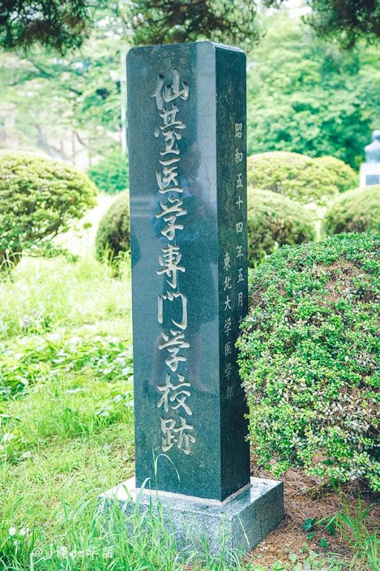 【日本】从函馆到仙台,追寻日本夏日的绿野仙踪