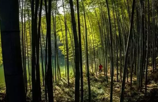 凉凉凉 芜湖周边清凉避暑胜地大盘点