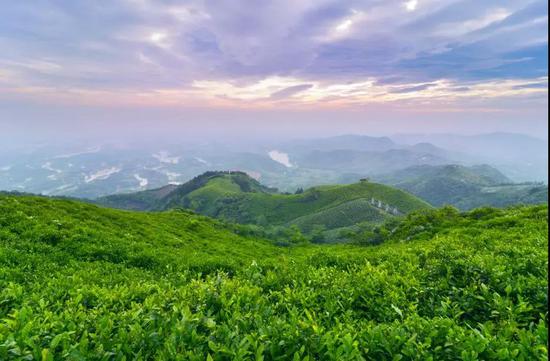 探寻豫南明珠——西九华山的魅力之旅