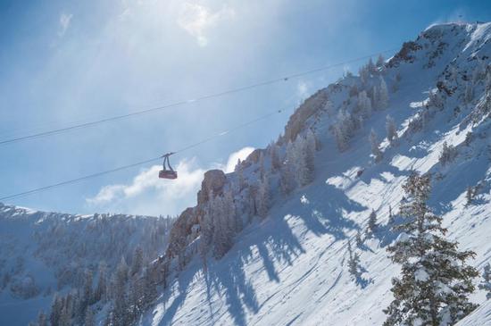 雪鸟滑雪度假村( Ski Snowbird)©Scott Markewitz