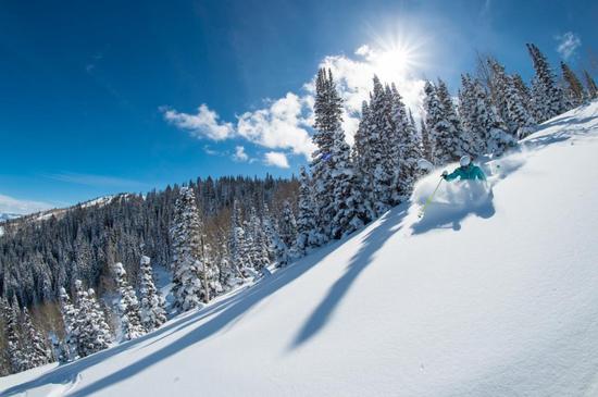 鹿谷度假胜地(Deer Valley Resort)©Scott Markewitz Photography