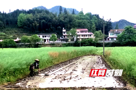 安家坡村有多少人口_桲罗台镇安家峪村(3)