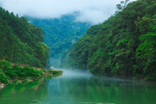 　九龙江国家森林公园