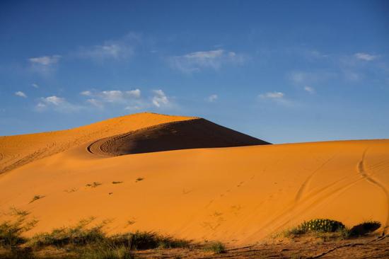 珊瑚粉红沙丘州立公园（Coral Pink Sand Dunes State Park）©Austen Diamond Photograhy