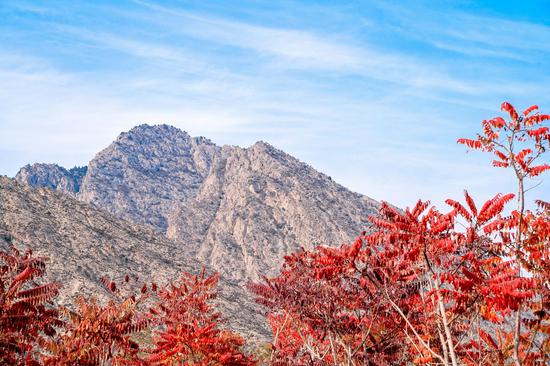 賀蘭山
