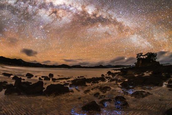 大屏障岛纯净原始的夜空。图片版权：Mark Russell