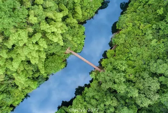 摄影:磊落